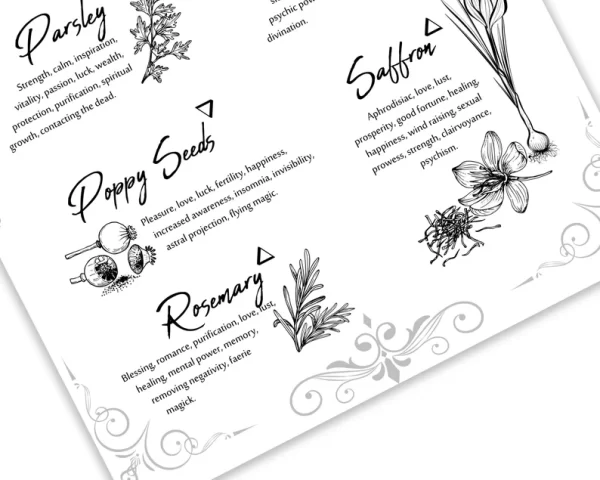 printable Herbs & Spices v5 Magickal Uses Kitchen witchery