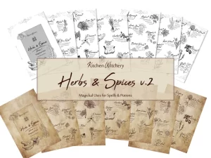 printable Herbs & Spices v5 Magickal Uses Kitchen witchery