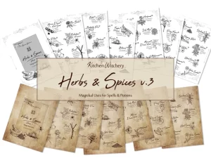 kitchen witchery printable Herbs & Spices Magickal Uses