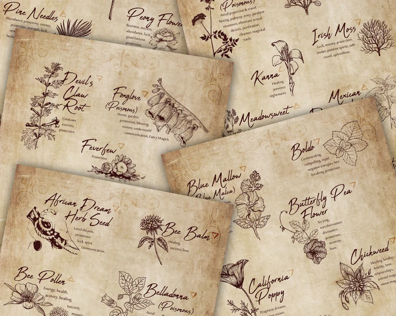 kitchen witchery printable Herbs & Spices Magickal Uses