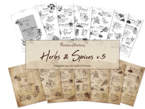 printable Herbs & Spices v5 Magickal Uses Kitchen witchery