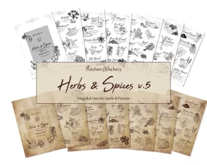 printable Herbs & Spices v5 Magickal Uses Kitchen witchery