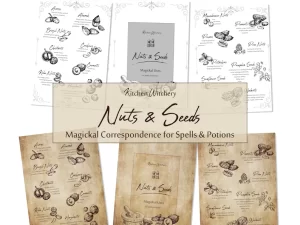 kitchen witchery printable Nuts & Seeds Magickal Uses